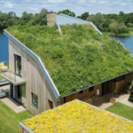 Green Renovations: Sustainable Practices and Eco-Friendly Materials for Your Home