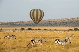 Safari Hot Air Balloon Rides: Aerial Views of the Savannah