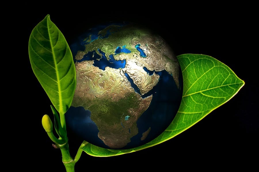 globe-in-leaf