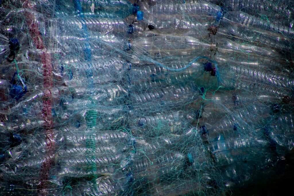 pexels-magda-ehlers-pexels-2602537
