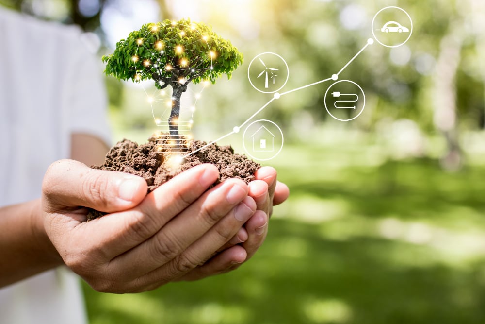 save-world-innovation-concept-girl-holding-small-plant-tree-sapling-are-growing-up-from-soil-palm-with-connection-line-ecology-conservation-concept-1